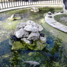 Parco della Preistoria di Rivolta d'Adda