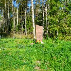 Братская могила советских воинов (Питкярантское г.п.)