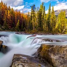 Sunwapta Falls