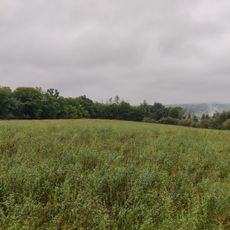 Nalžovické Podhájí