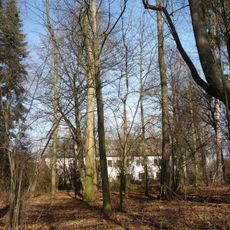 Zámecký park Petrkov