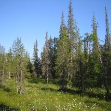 Syöte National Park