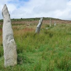 Stripple stones