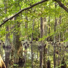 Park stanowy First Landing