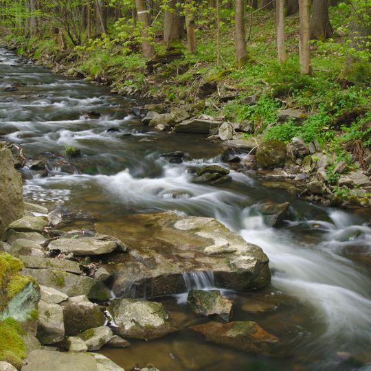 Čepičkův vrch a údolí Hodonínky