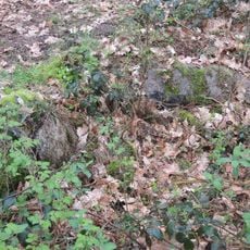 Steinkiste Liepen-Basedow 1