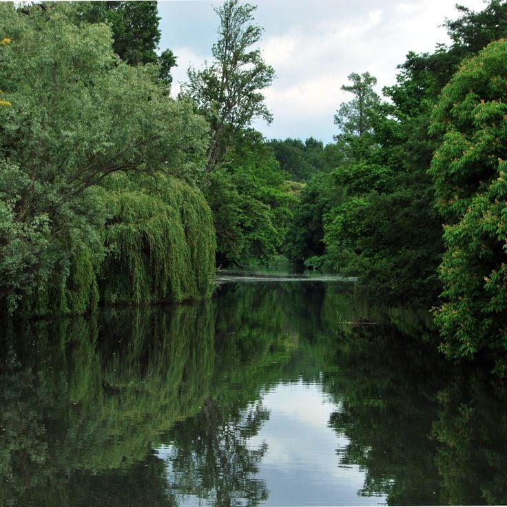 Syon Park
