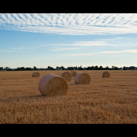 Tournedos-Bois-Hubert