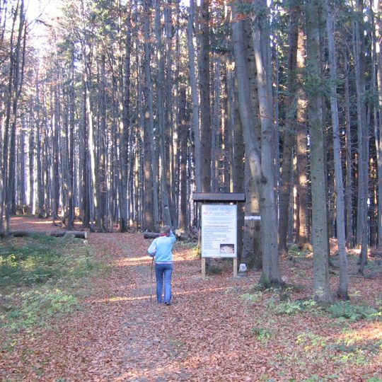 Rezerwat przyrody Muńcoł