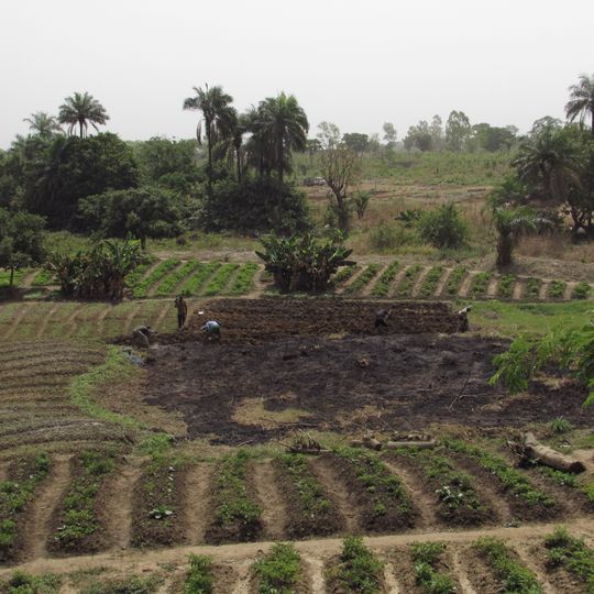 Dipartimento di Donga