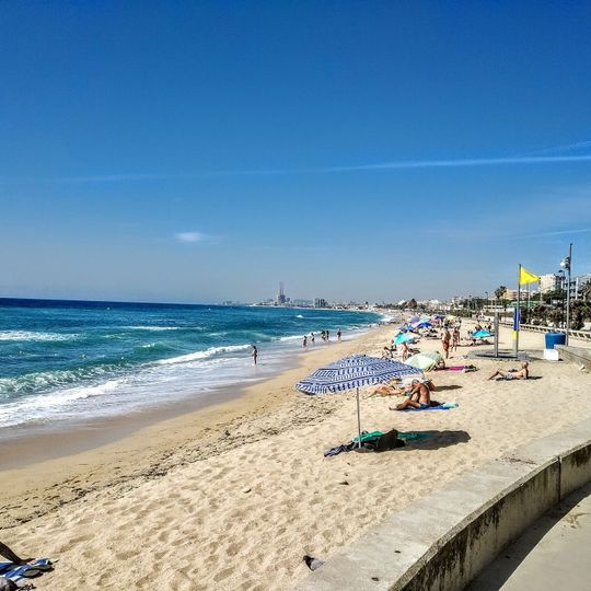 Oasis Beach Bar