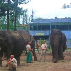 Nyíregyháza Zoo