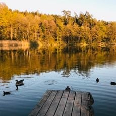 Steinibühlweiher