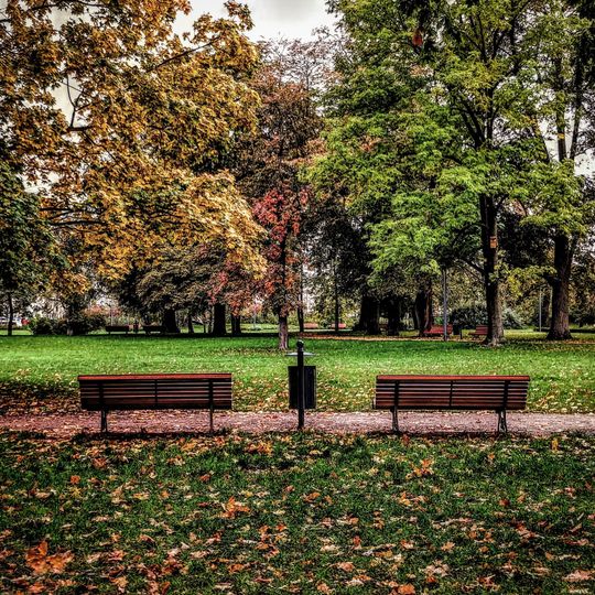 Park Książąt Mazowieckich