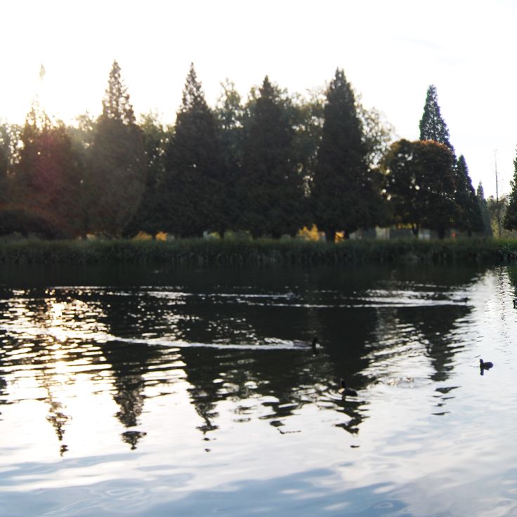 Crystal Springs Rhododendron Garden
