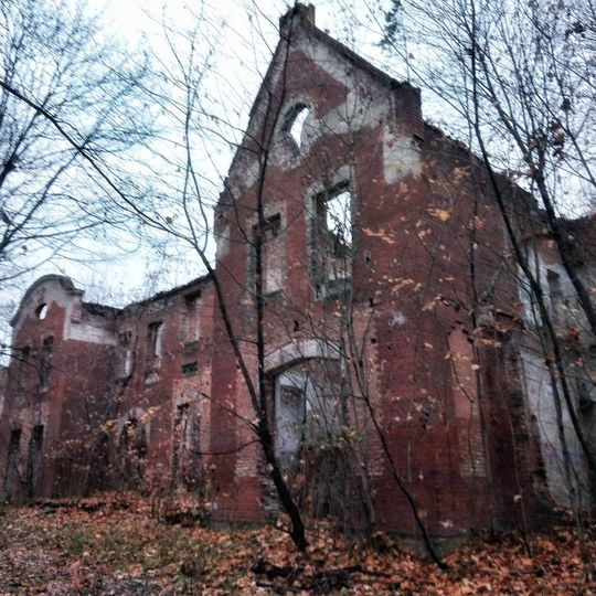 Усадебный дом )