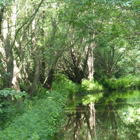 Kerpener Bruch sowie die südlich angrenzenden Freiflächen und ehemalige Abgrabungsbereiche