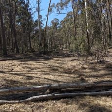 Avondale State Conservation Area