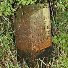 Milepost, Abbot's Moss, opp. Shay's Lane jct