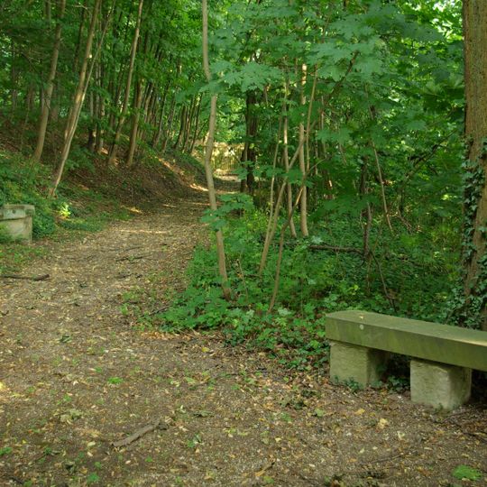 Meilwald mit Eisgrube