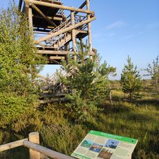 Lookout tower in Great Ķemeri Bog