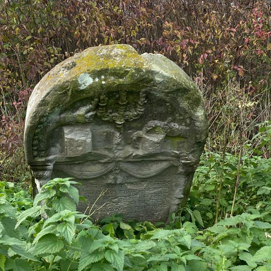 Cmentarz żydowski w Józefowie nad Wisłą