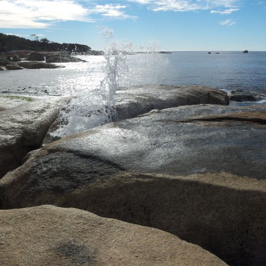 Bicheno Blowhole Tasmania
