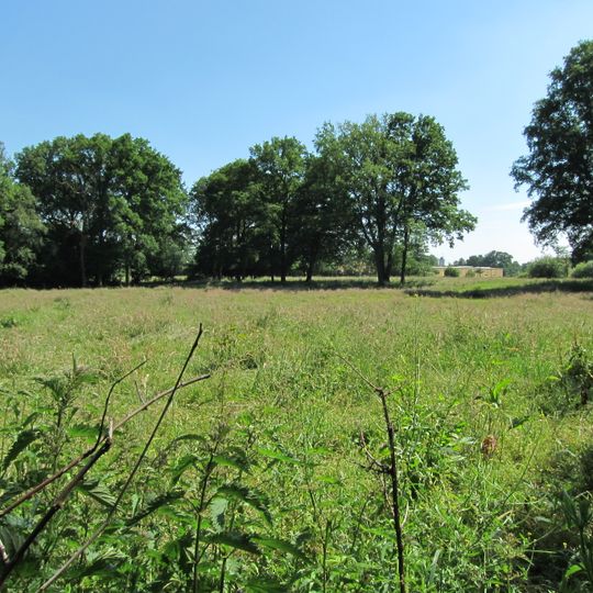NSG Torfloecher am Galgenkamp