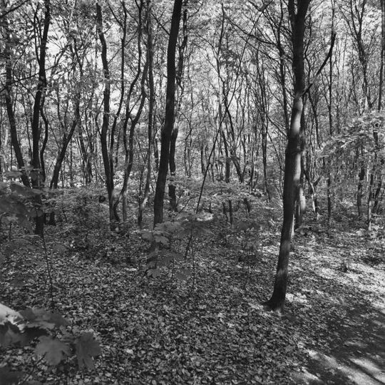 't Hoogt van 't Kruis