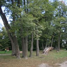 Park z alejami dojazdowymi