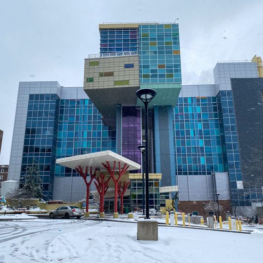 State University of New York Upstate Medical University