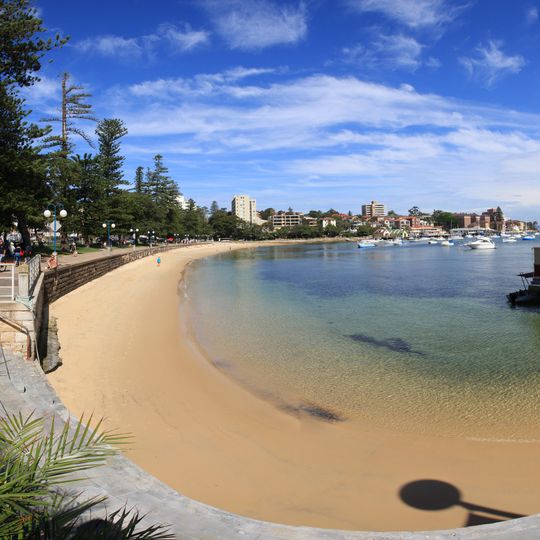 Manly Council