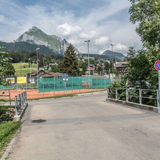 Frühweidstrasse-Brücke