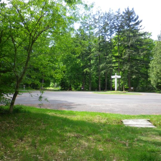 Clairière Forestière De Bresolettes