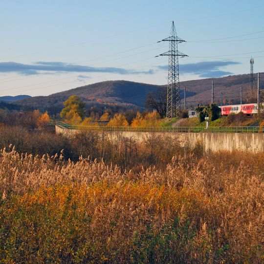 Weidlingauer Eichberg