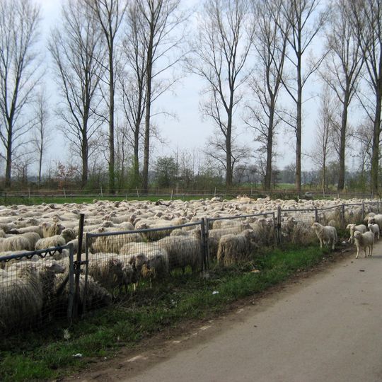 LSG-Rhein und Rheinauen Worringen bis Merkenich