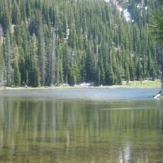 Roger Lake