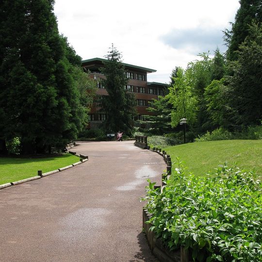 Disney Sequoia Lodge