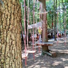 Park Linowy w Międzyzdrojach