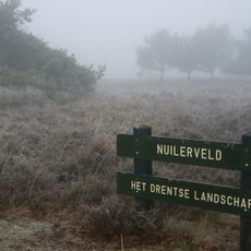 Nuilerveld