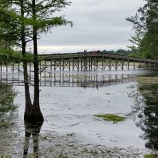 Martin Dies, Jr. State Park