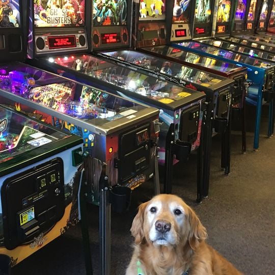 Seattle Pinball Museum