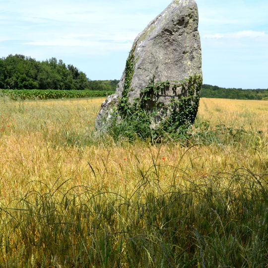 Pierre Longue du Bouchet