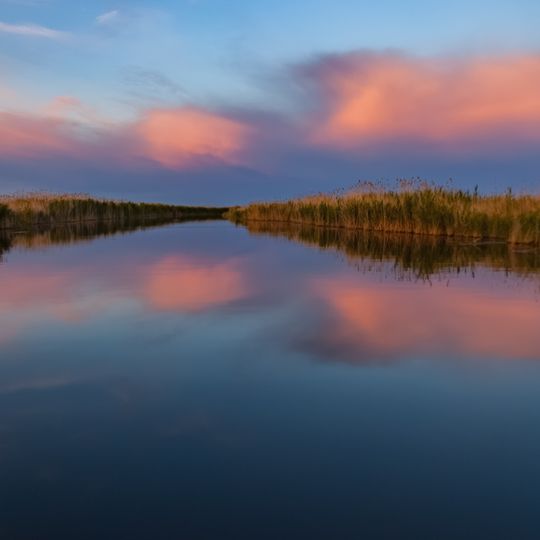 Pribalkhash State Nature Sanctuary