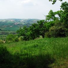 Gau-Algesheimer Kopf - Erweiterung