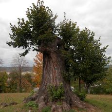 Park pri obecnom úrade
