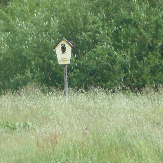 Elblachen bei Stetzsch