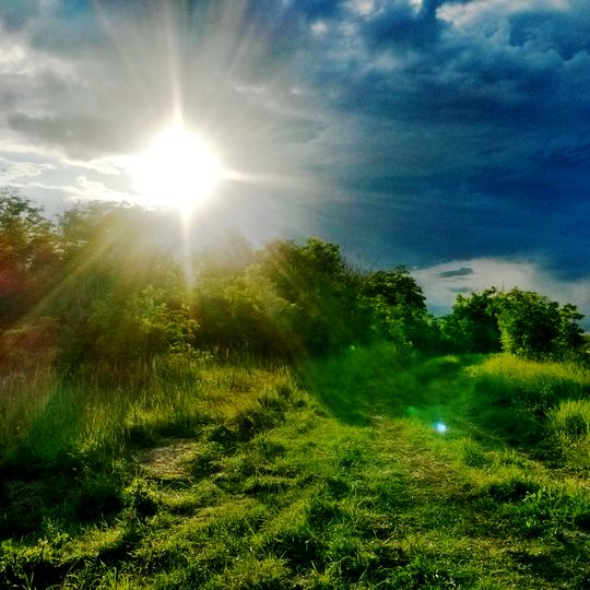 Tsentralno-Tsjernozjomniy zapovednik