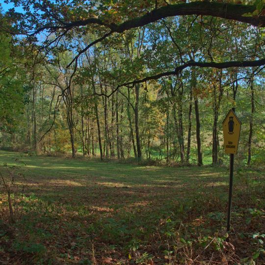 Winzerwiese und Gosebruch