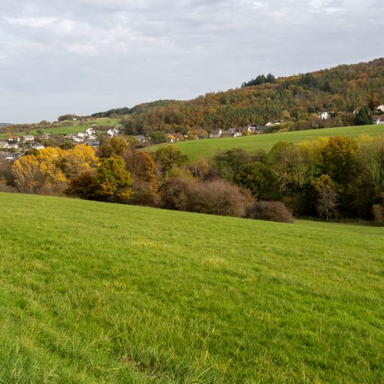 Grünlandkomplexe von Herbornseelbach bis Ballersbach und Aar-Aue
